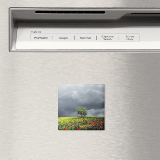 Poppy Field en Cloudy Sky Magneet (Insitu (Vaatwasser))