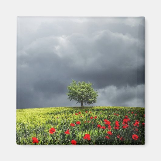 Poppy Field en Cloudy Sky Magneet (Voorkant)