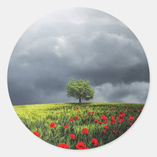 Poppy Field en Cloudy Sky Ronde Sticker (Voorkant)