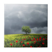 Poppy Field en Cloudy Sky Tegeltje (Voorkant)
