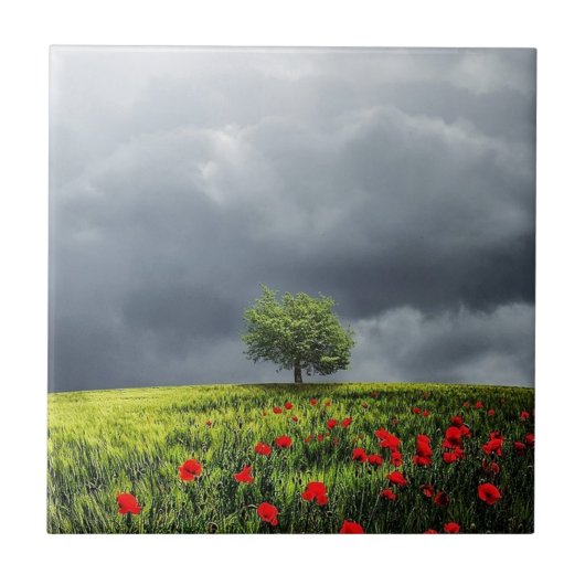 Poppy Field en Cloudy Sky Tegeltje (Voorkant)