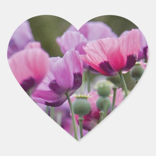Poppy Field Heart Sticker (Voorkant)