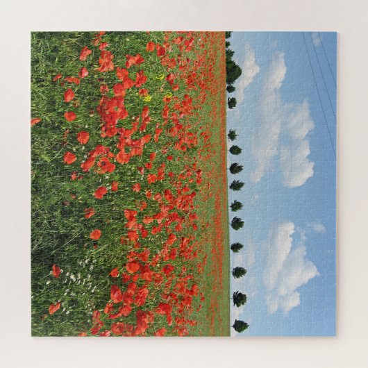 Poppy Field in Bloom Legpuzzel (Horizontaal)