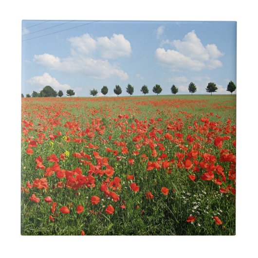Poppy Field in Bloom Tegeltje (Voorkant)