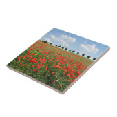 Poppy Field in Bloom Tegeltje (Zijkant)