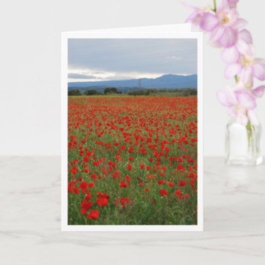 Poppy Field Landscape Kaart (Orchidee)