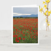 Poppy Field Landscape Kaart (Gele Bloem)