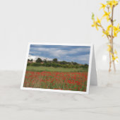 Poppy Field Landscape Kaart (Gele Bloem)