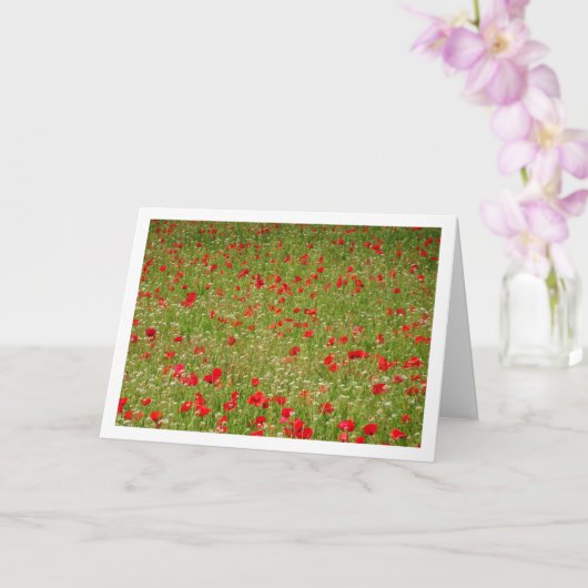 Poppy Field Landscape Kaart (Orchidee)