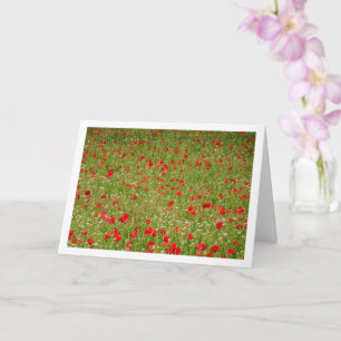 Poppy Field Landscape Kaart