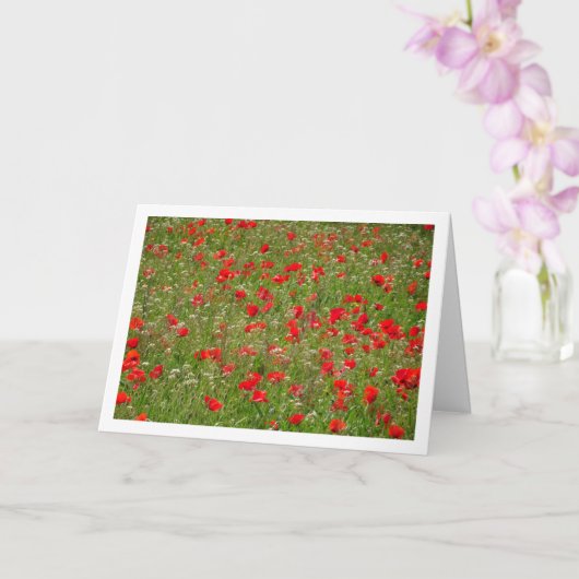 Poppy Field Landscape Kaart (Orchidee)