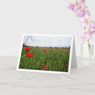Poppy Field Landscape Kaart