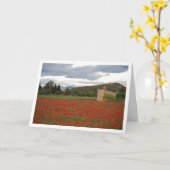 Poppy Field Landscape Kaart (Gele Bloem)