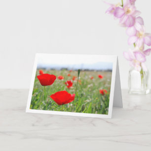 Poppy Field Landscape Kaart