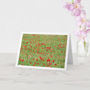 Poppy Field Landscape Kaart