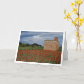 Poppy Field Landscape Kaart (Gele Bloem)