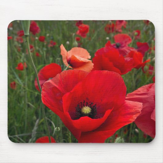 Poppy Field Mouse Mat Muismat (Voorkant)