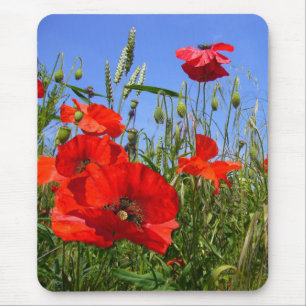 POPPY FIELD ~ Mousepad # 6 Muismat