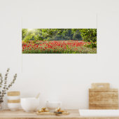 Poppy field panorama in het voorjaar poster (Keuken)