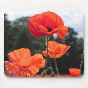 Poppy Field, prachtige bloei, Muismat