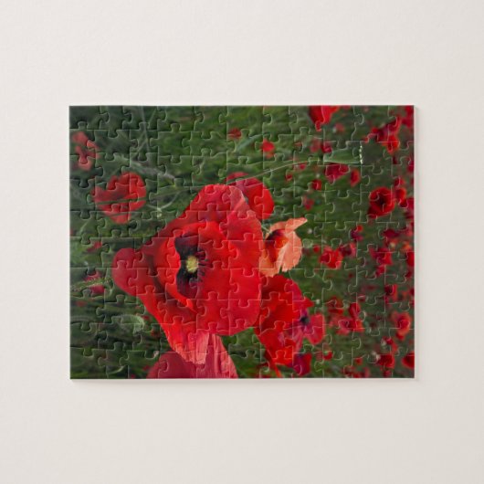 Poppy Field Puzzle/Jigzaag Puzzle met tin Legpuzzel (Horizontaal)
