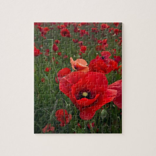 Poppy Field Puzzle/Jigzaag Puzzle met tin Legpuzzel (Verticaal)