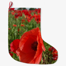 Poppy Field Stocking