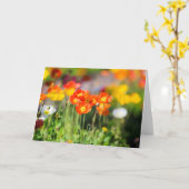 Poppy field wenskaart kaart (Gele Bloem)