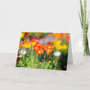 Poppy field wenskaart kaart