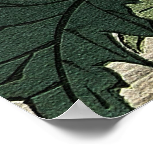 Poppy Flower beroemd gemaakt door Ohara Koson Poster (Hoek)