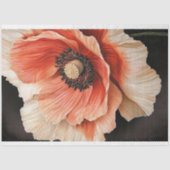 Poppy Flower Macro Close-up Red Coral & Black Tissuepapier (Voorkant)