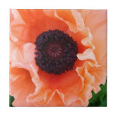 Poppy Flower Tile Tegeltje (Voorkant)
