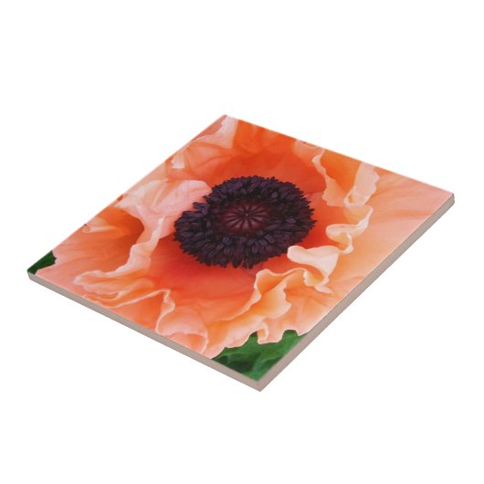Poppy Flower Tile Tegeltje (Zijkant)