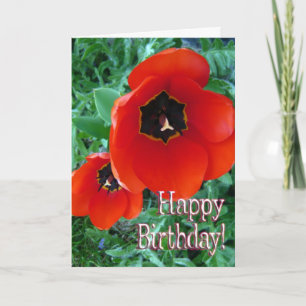 Poppy Flowers - Happy Birthday! Kaart
