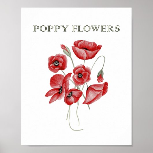Poppy Flowers Poster (Voorkant)