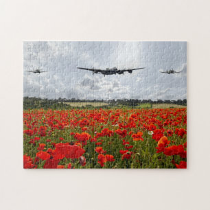 Poppy Flypast Legpuzzel