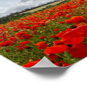 Poppy Flypast Poster (Hoek)