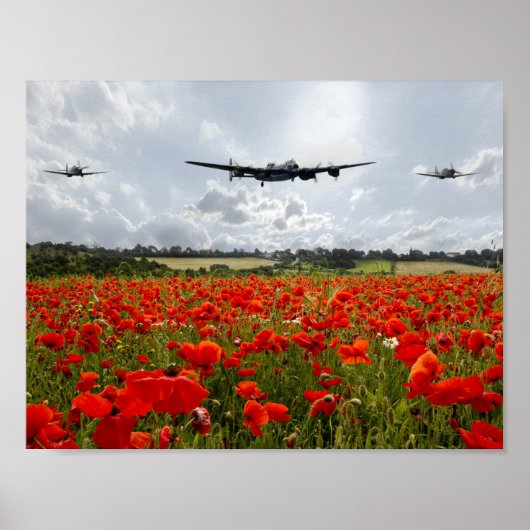 Poppy Flypast Poster (Voorkant)