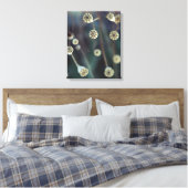 Poppy Fruit natuur Foto Canvas Afdruk (Insitu (Slaapkamer))