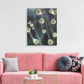 Poppy Fruit natuur Foto Canvas Afdruk (Insitu (Woonkamer))