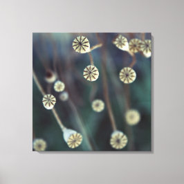 Poppy Fruit natuur Foto Canvas Afdruk