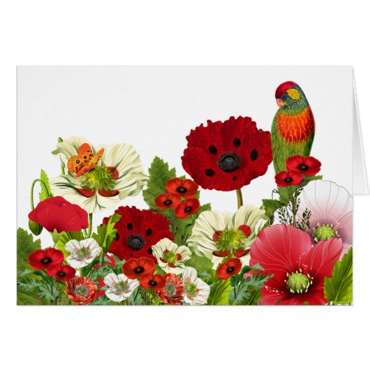 Poppy Garden met een Loriket Parrot Blank (Voorkant Horizontaal)