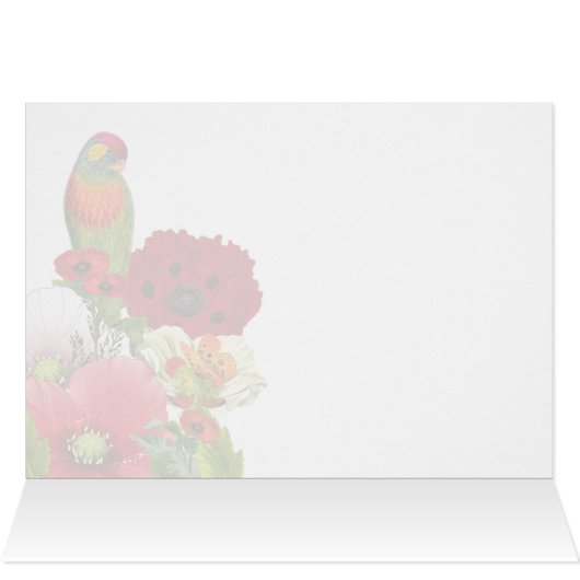 Poppy Garden met een Loriket Parrot Blank (Binnen Horizontaal (Boven))