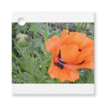 Poppy Gift Label