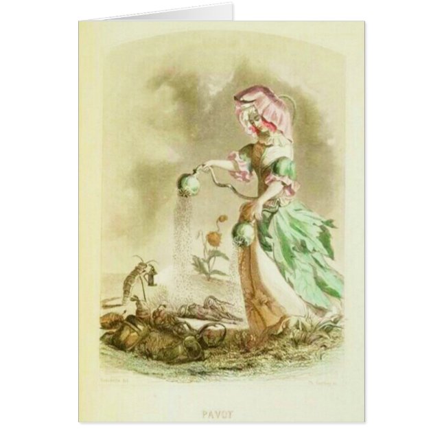Poppy Girl (Voorkant)