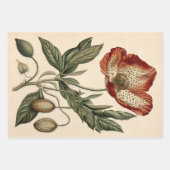  Poppy Illustratie Meubels Decoupage Inpakpapier Vel (Voorkant 2)