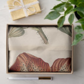  Poppy Illustratie Meubels Decoupage Tissuepapier (Geschenk)