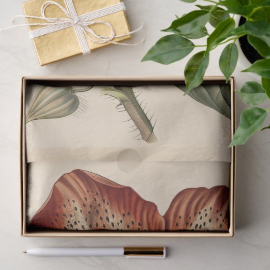  Poppy Illustratie Meubels Decoupage Tissuepapier (Geschenk)