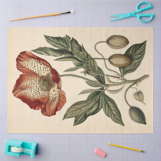 Poppy Illustratie Meubels Decoupage Tissuepapier (Craft)