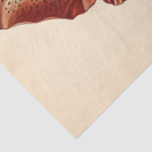  Poppy Illustratie Meubels Decoupage Tissuepapier (Detail)